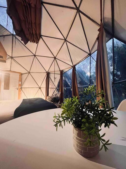 Magia Ecolodges, Glamping Punta Colorada 外观 照片